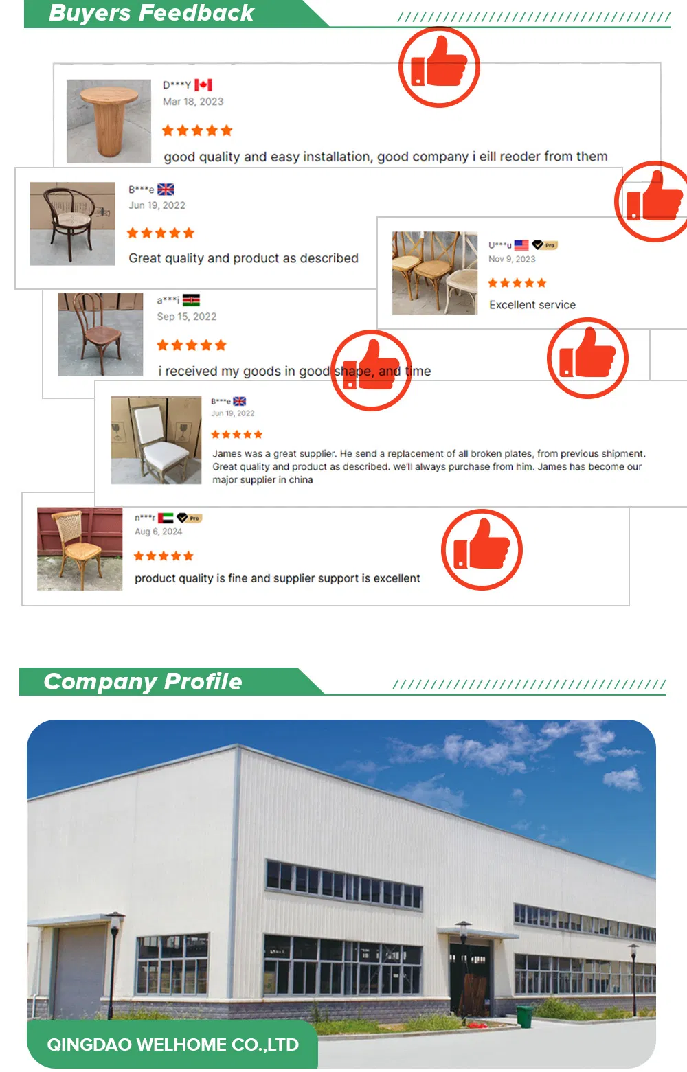 Product Options and Catalog Information