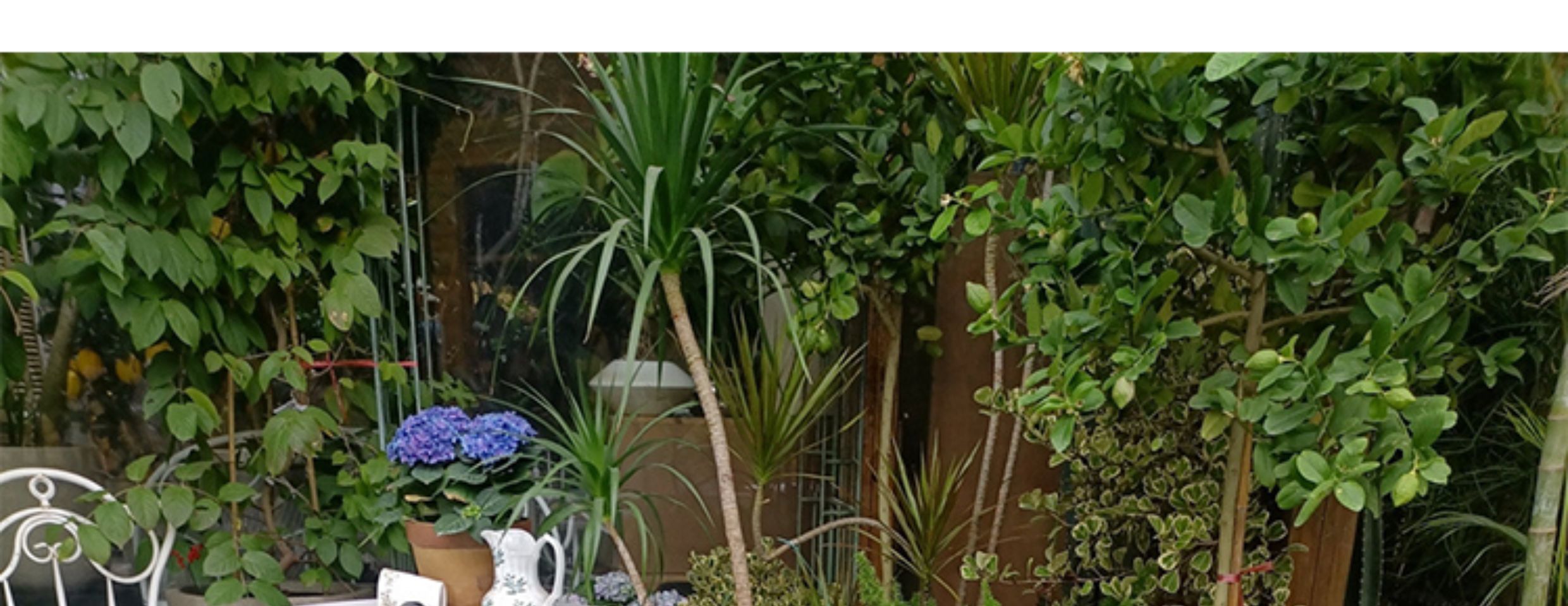 Outdoor furniture product view 5