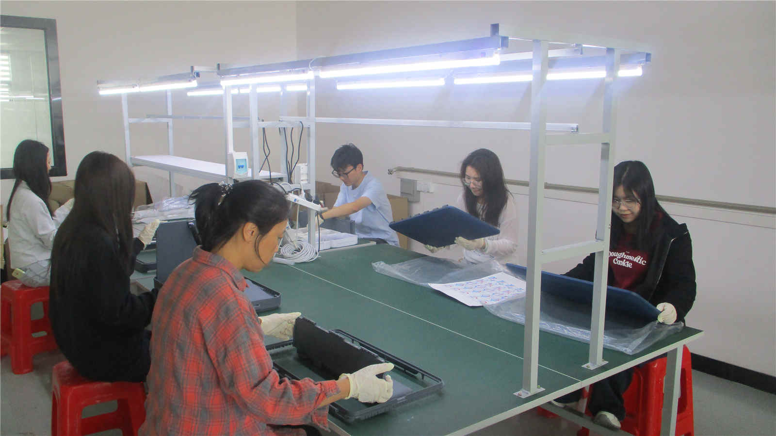 Assembly and Rigorous Inspection