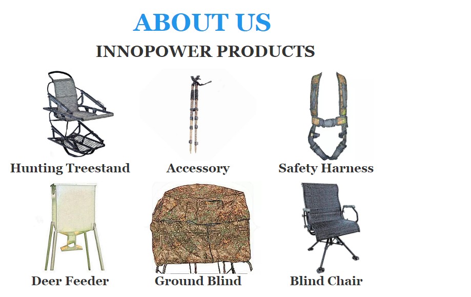 Product Detail Image 1