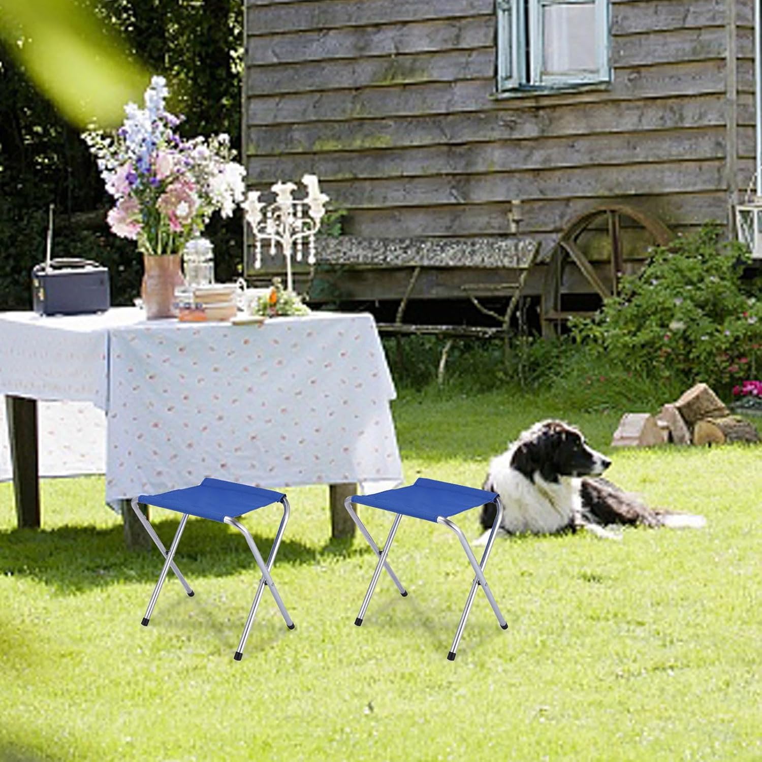 Folding Camp Stool