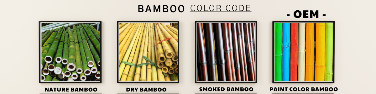 Design Options