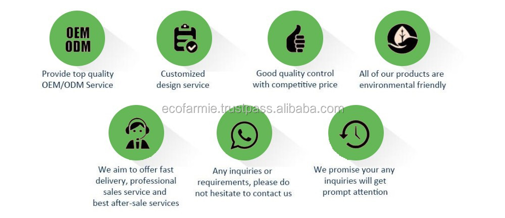 Why Choose Us Diagram