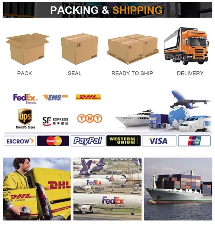 Shipment and Payment details