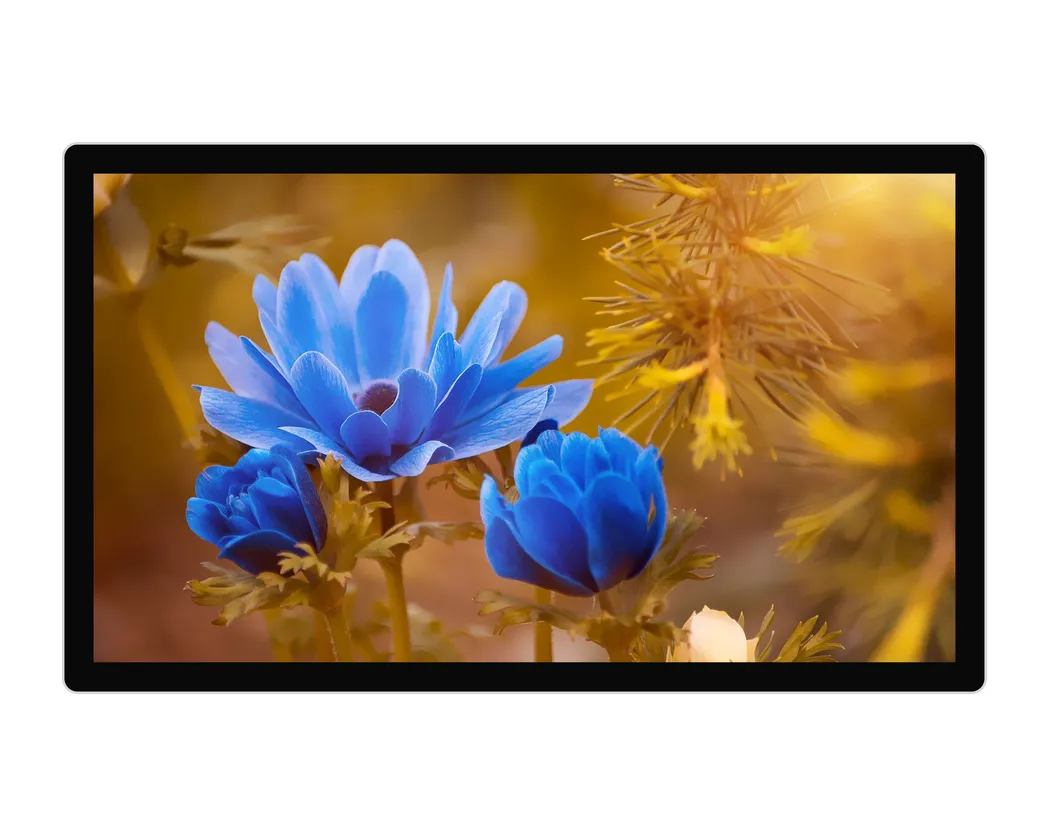 LCD Panel Industrial Display