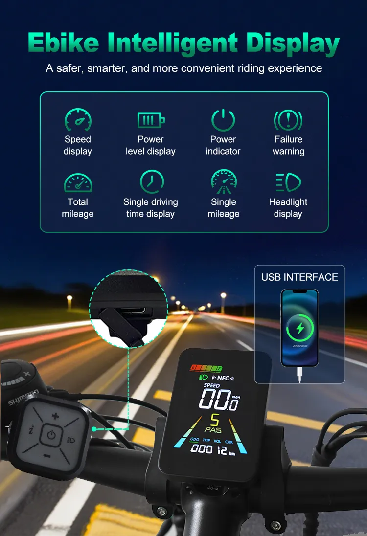 Ebike Screen Features