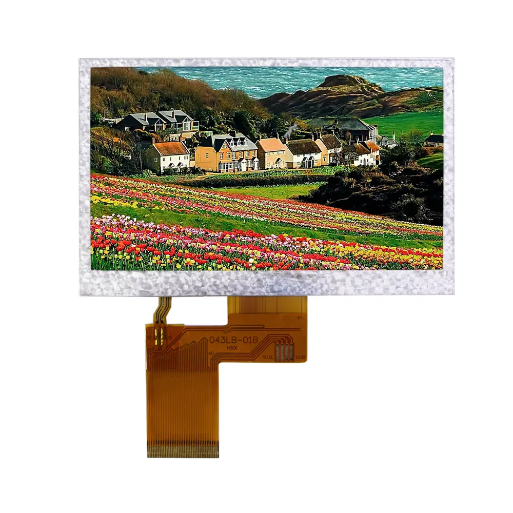 4.3 Inch 480*272 TFT LCD Vibrant Colors, Optional Touchscreen for Industrial &amp; Consumer Devices Display Module