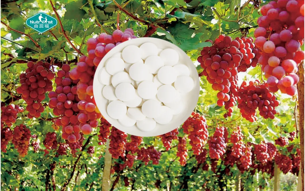 Product Specifications