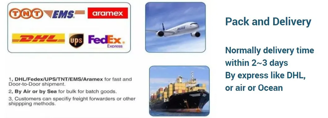 Global Shipping Partners