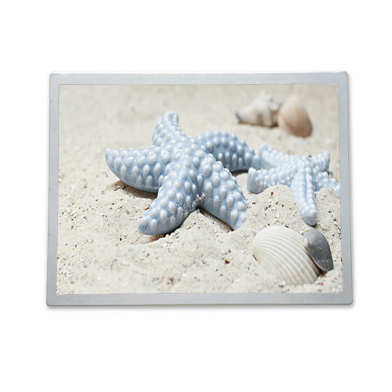 17.3 Inch (P1730FHF1MA10 ) LCD Module Display for Industrial, Outdoor High Brightness TFT