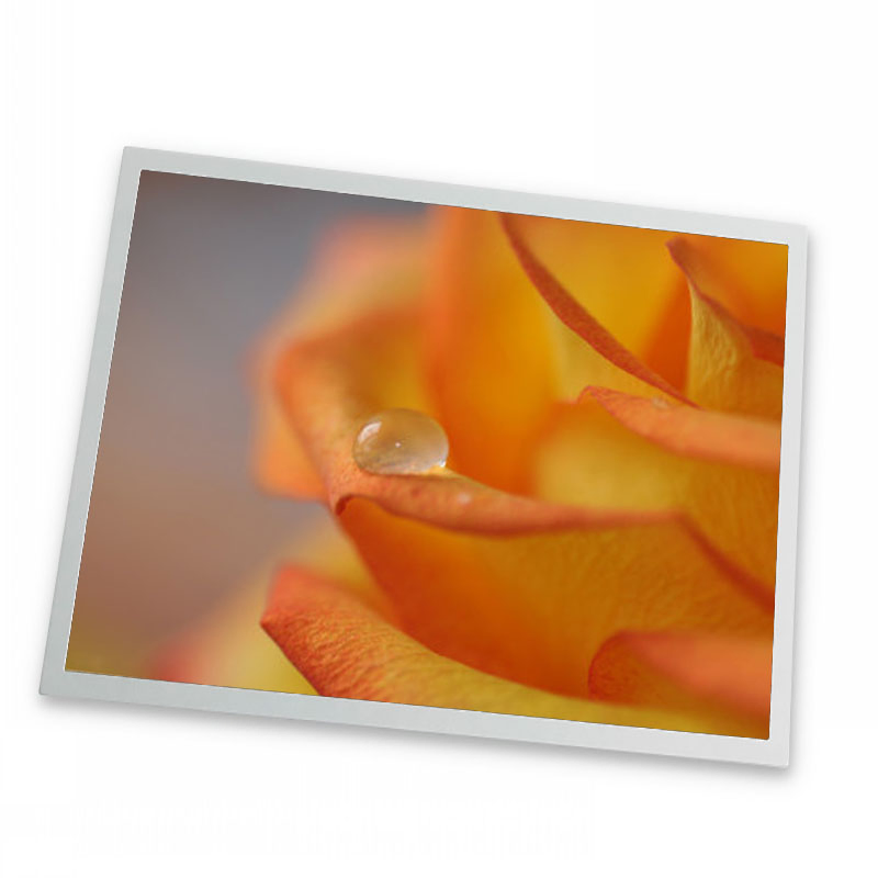 17.3 Inch (P1730FHF1MA10 ) LCD Module Display for Industrial, Outdoor High Brightness TFT