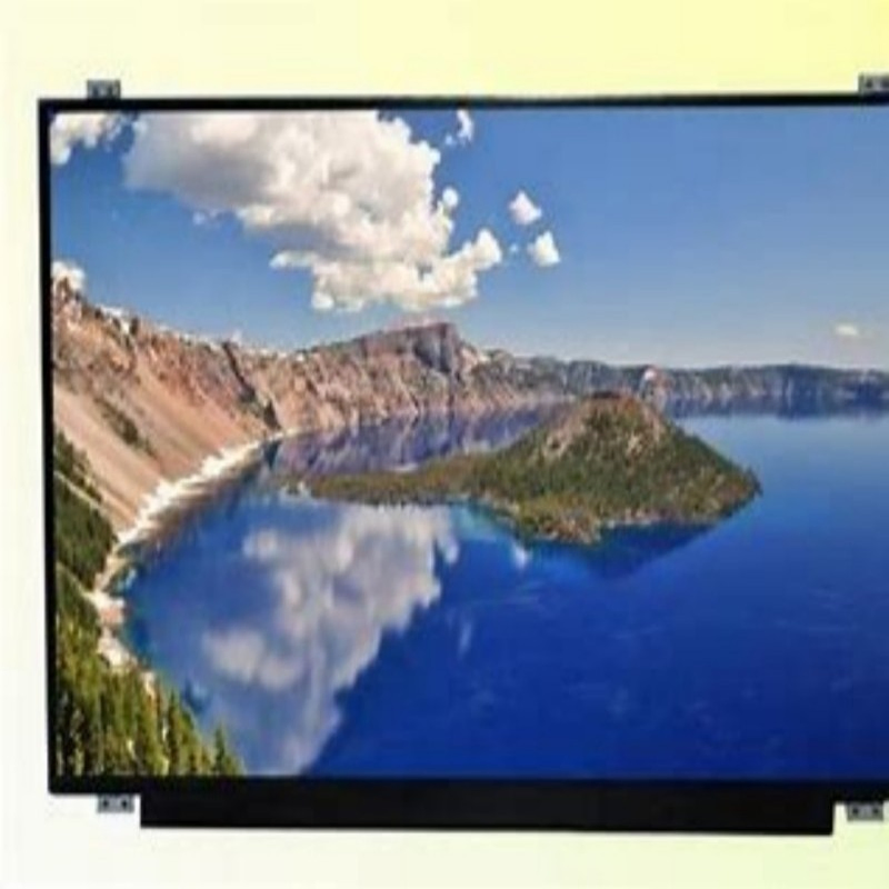 Panel Industrial Use 10 1" TFT LCD Color Touchscreen Display