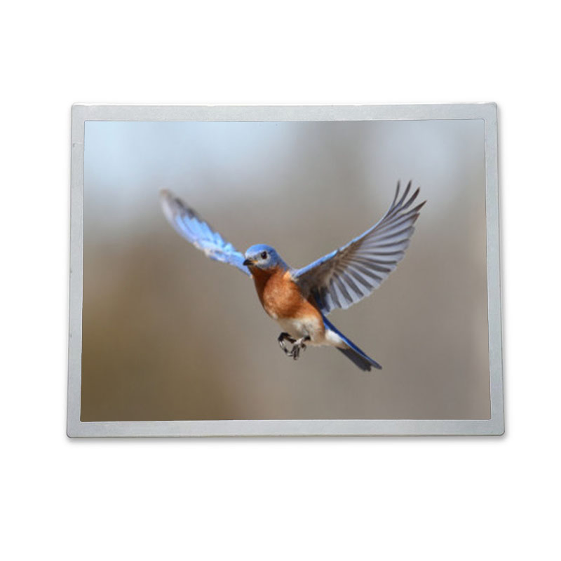 17.3 Inch (P1730FHF1MA10 ) LCD Module Display for Industrial, Outdoor High Brightness TFT