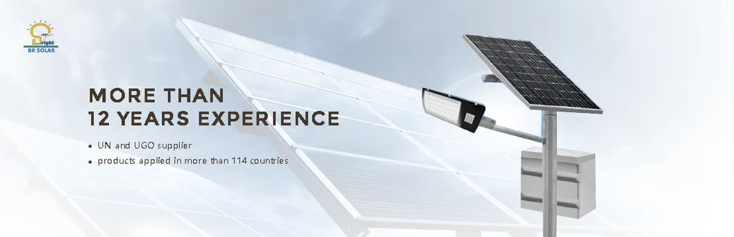 40W LED Solar Street Lighting System