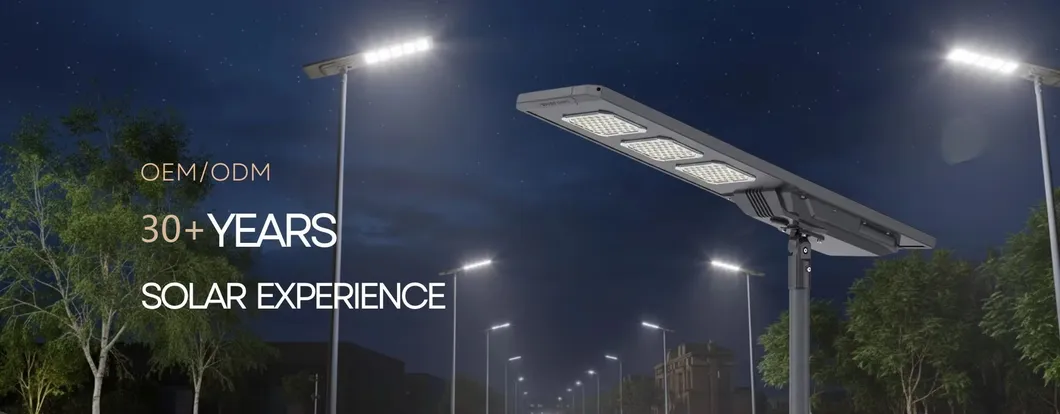 Solar Street Light Main View