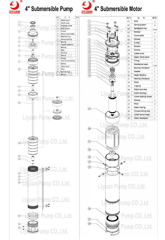 Pump Structure Diagram