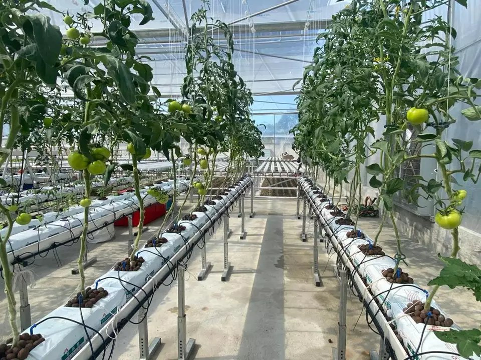 Large Food Grade PVC Vertical Hydroponic Gutter Grow System for Strawberry Cultivation in Solar Agricultural Greenhouses White