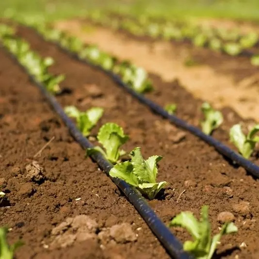 16mm Flat PVC Watering Irrigation Pipe Fitting Farm System