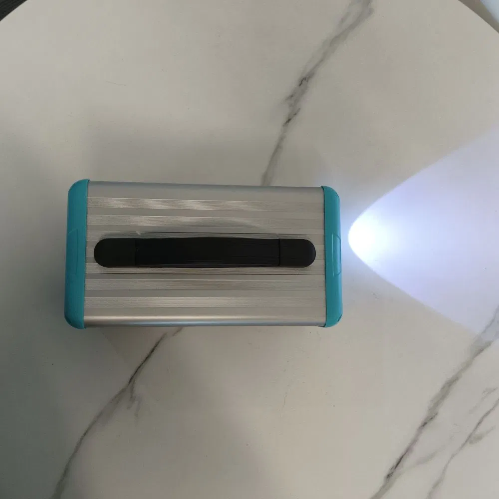 Bestwe off Grid 20ah Complete Simple Security System 80W Suit Home House South Africa Solar Power System