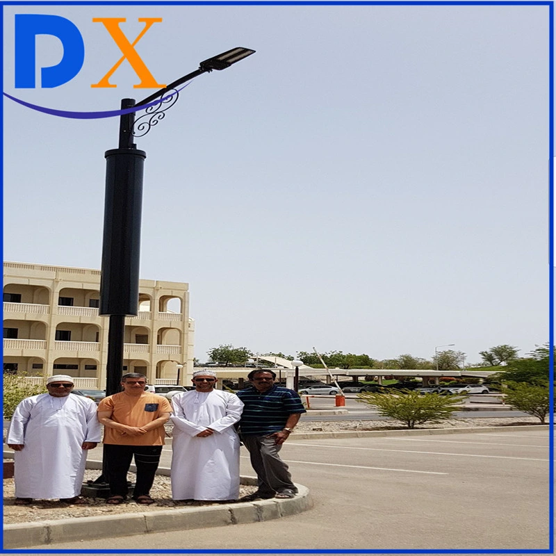 Ce RoHS Wind and Solar Hybrid LED Street Lighting System