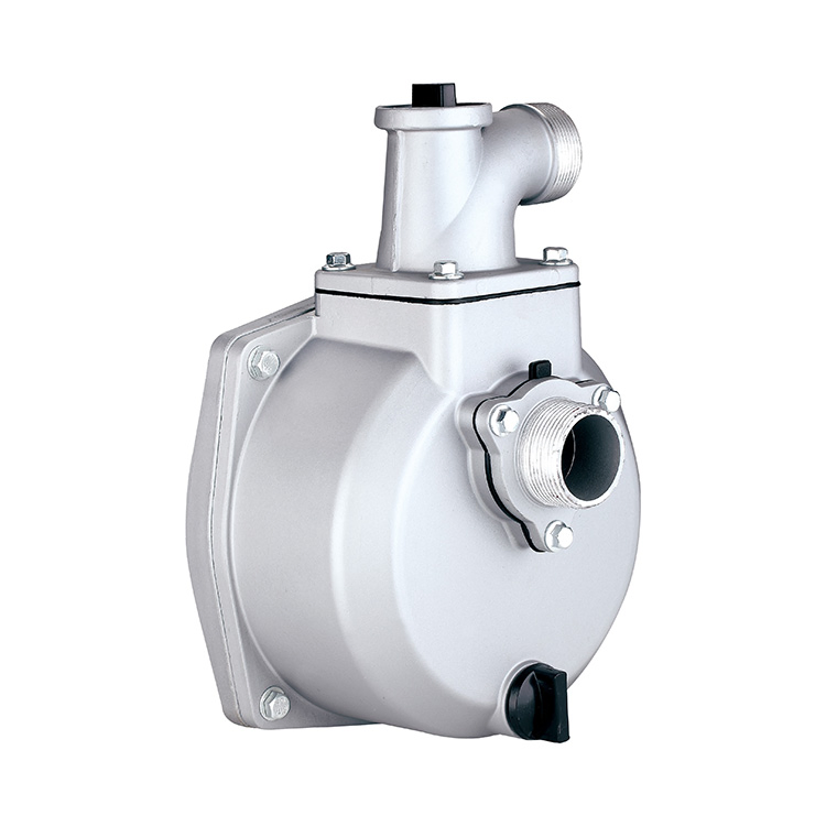 Ezone Bomba De Agua Con Panel BLDC DC 48V 0.5 HP Surface Solar Direct Water Pump System