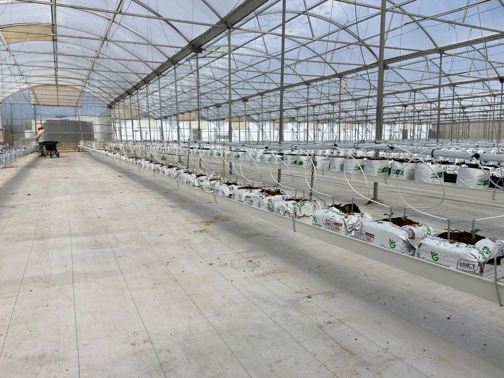 Large Food Grade PVC Vertical Hydroponic Gutter Grow System for Strawberry Cultivation in Solar Agricultural Greenhouses White