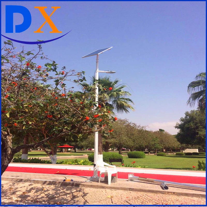 Ce RoHS Wind and Solar Hybrid LED Street Lighting System