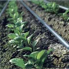 Agriculture Irrigaiton Irrigation Water Sprayer Sprinkler Pipe Fitting Farm Systems for Greenhouse