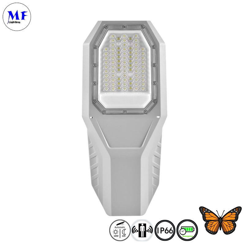 Factory Price 100W 200W Outdoor Lighting IP66 Waterproof Split Solar Street Light LED Road Lamp Solar Street Garden Light with Sensor for Garden Plaza