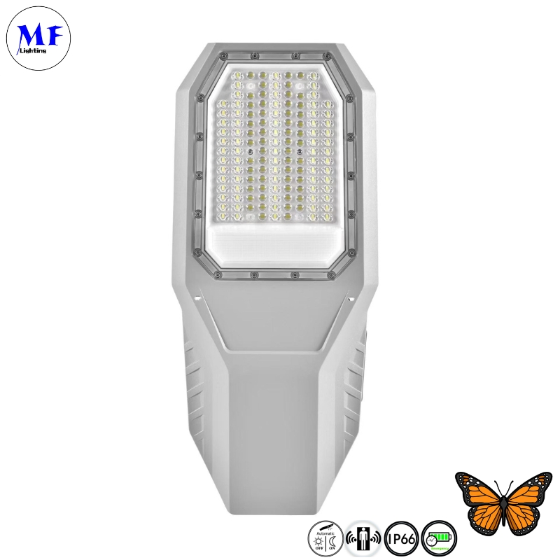 Factory Price 100W 200W Outdoor Lighting IP66 Waterproof Split Solar Street Light LED Road Lamp Solar Street Garden Light with Sensor for Garden Plaza
