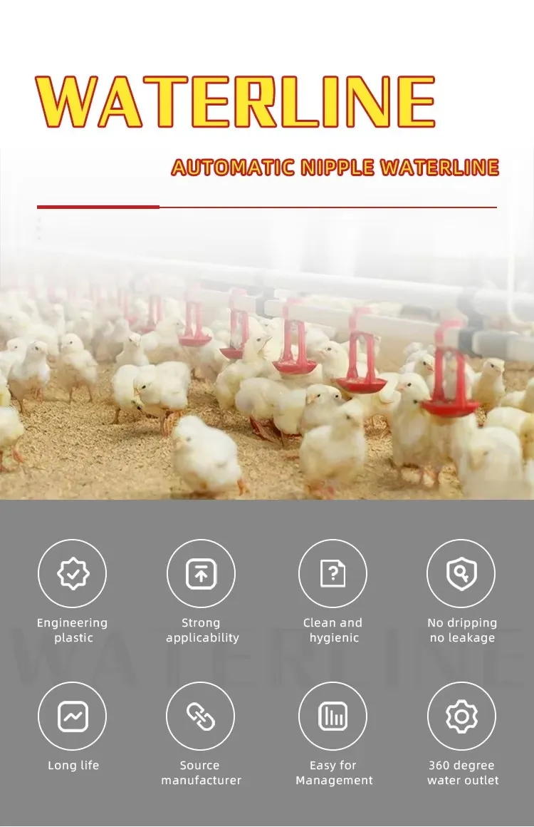 Poultry System 1