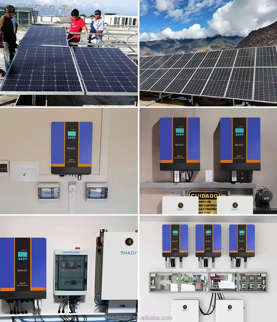 Global Project Cases