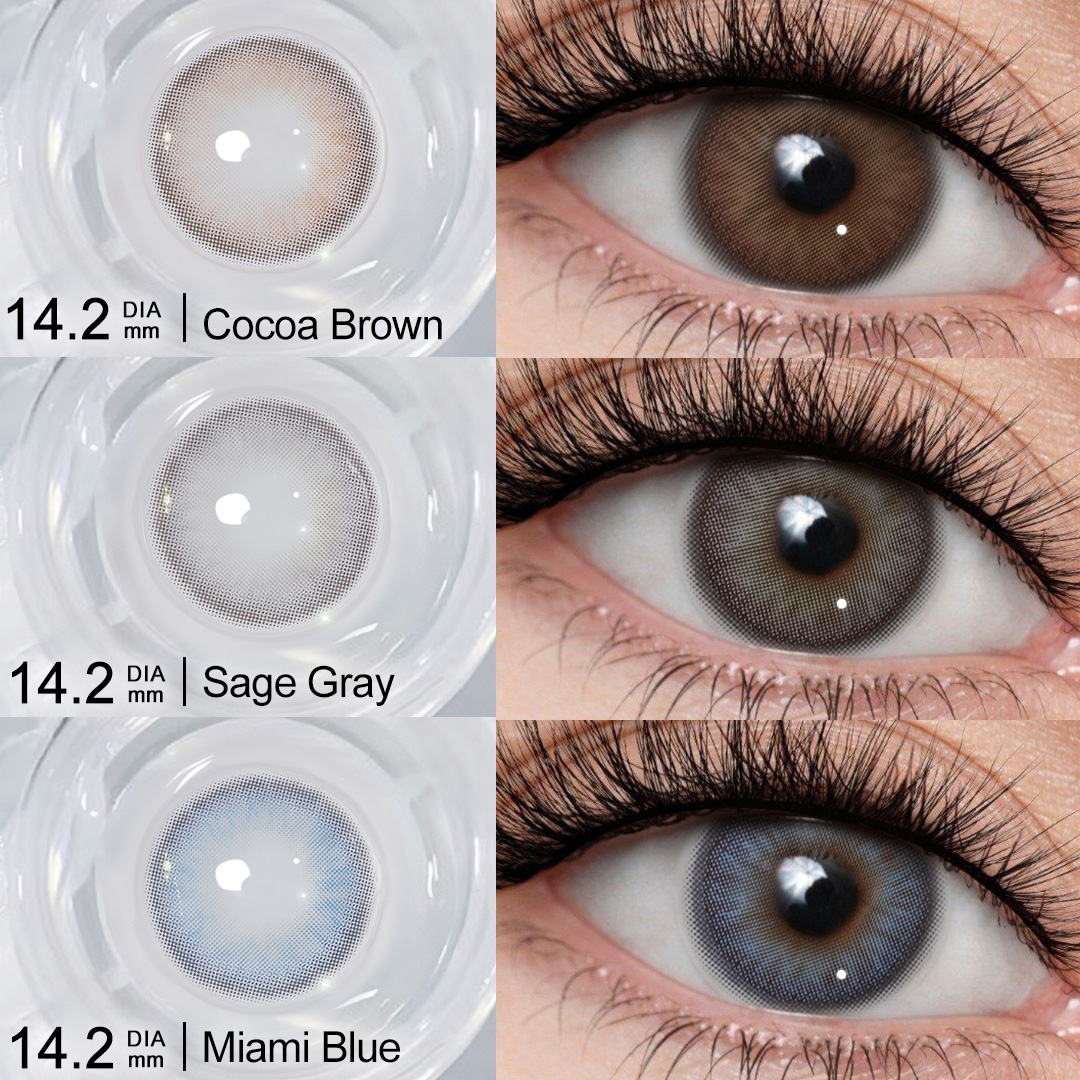 Free Shipping Freshgo Eye Contact Lenses New Wholesale 14.20mm Soft Black Contact Lenses 6 Months Beauty Eye Color Contacts