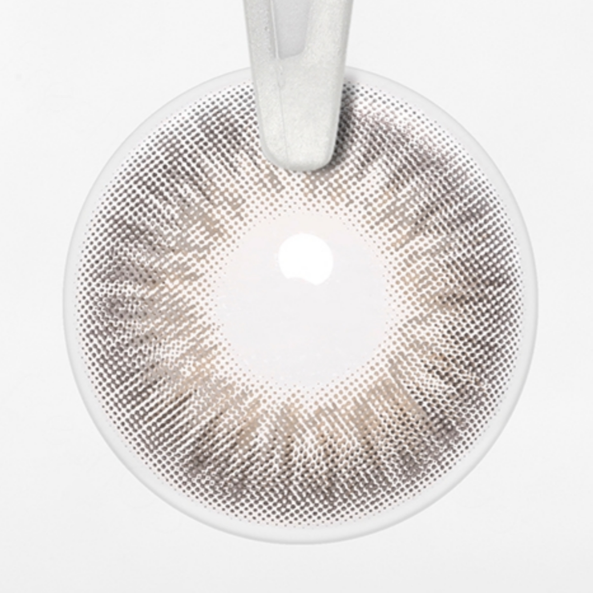 Free Sample OMG Gray Colored Contact Lenses Color Contact Lens Lentille De Couleur Naturel Les Lentilles De Couleur Lensa Kontak