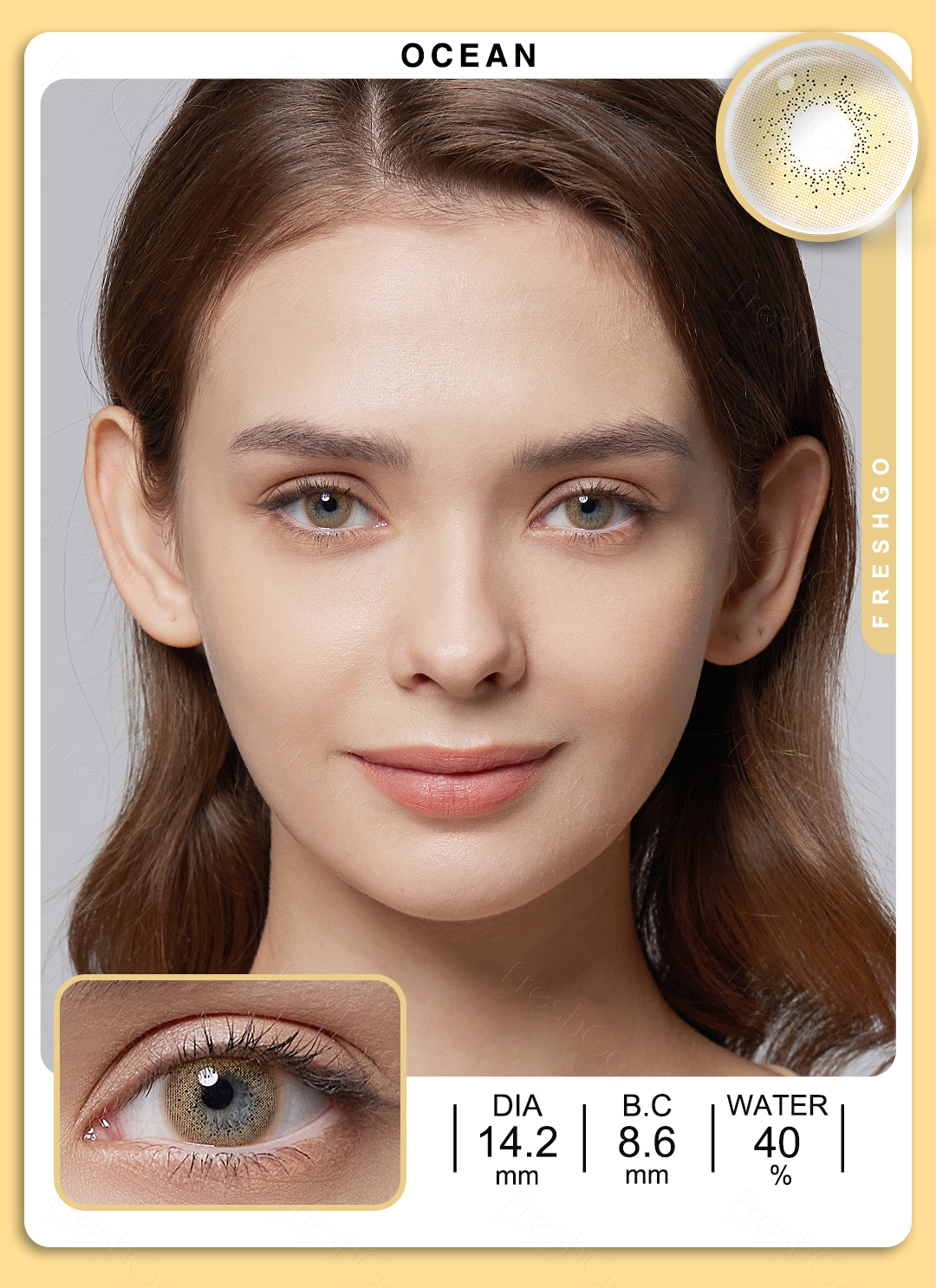 Brown Contact Lenses