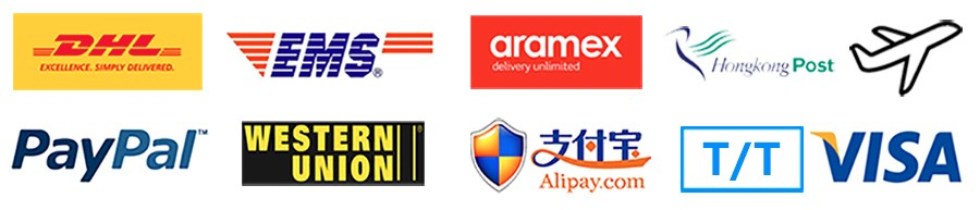 Delivery Partners