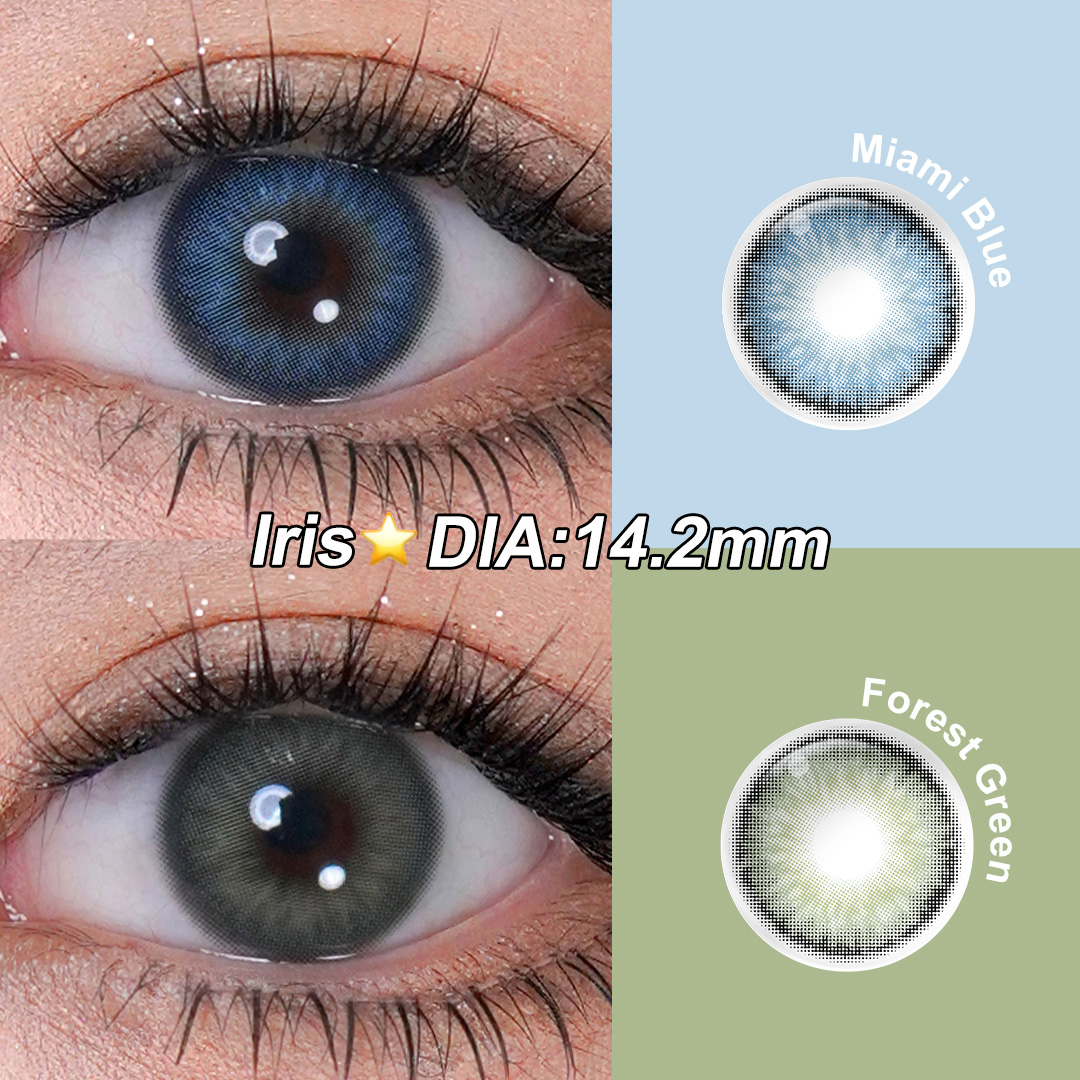 Free Shipping Freshgo Eye Contact Lenses New Wholesale 14.20mm Soft Black Contact Lenses 6 Months Beauty Eye Color Contacts