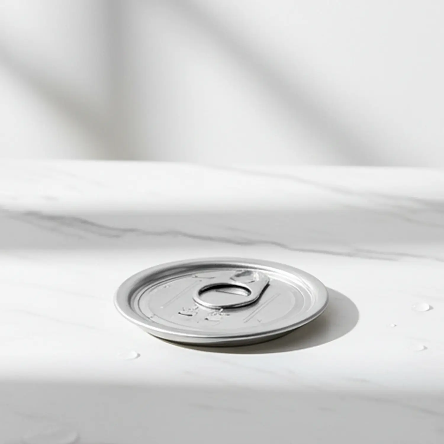 China Freeze-Resistant 209# Aluminum Lids from China Suppliers - Durable Factory Solutions for Cold-Storage Applications Service, Product