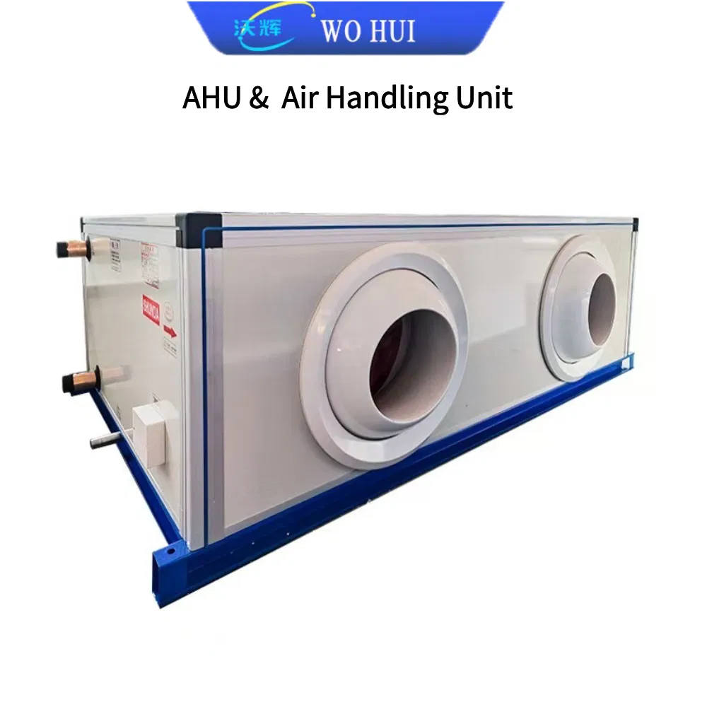 Unidad de Manejo de Aire Modular de Ahorro Energético para Edificios Comerciales, Certificada por Eurovent