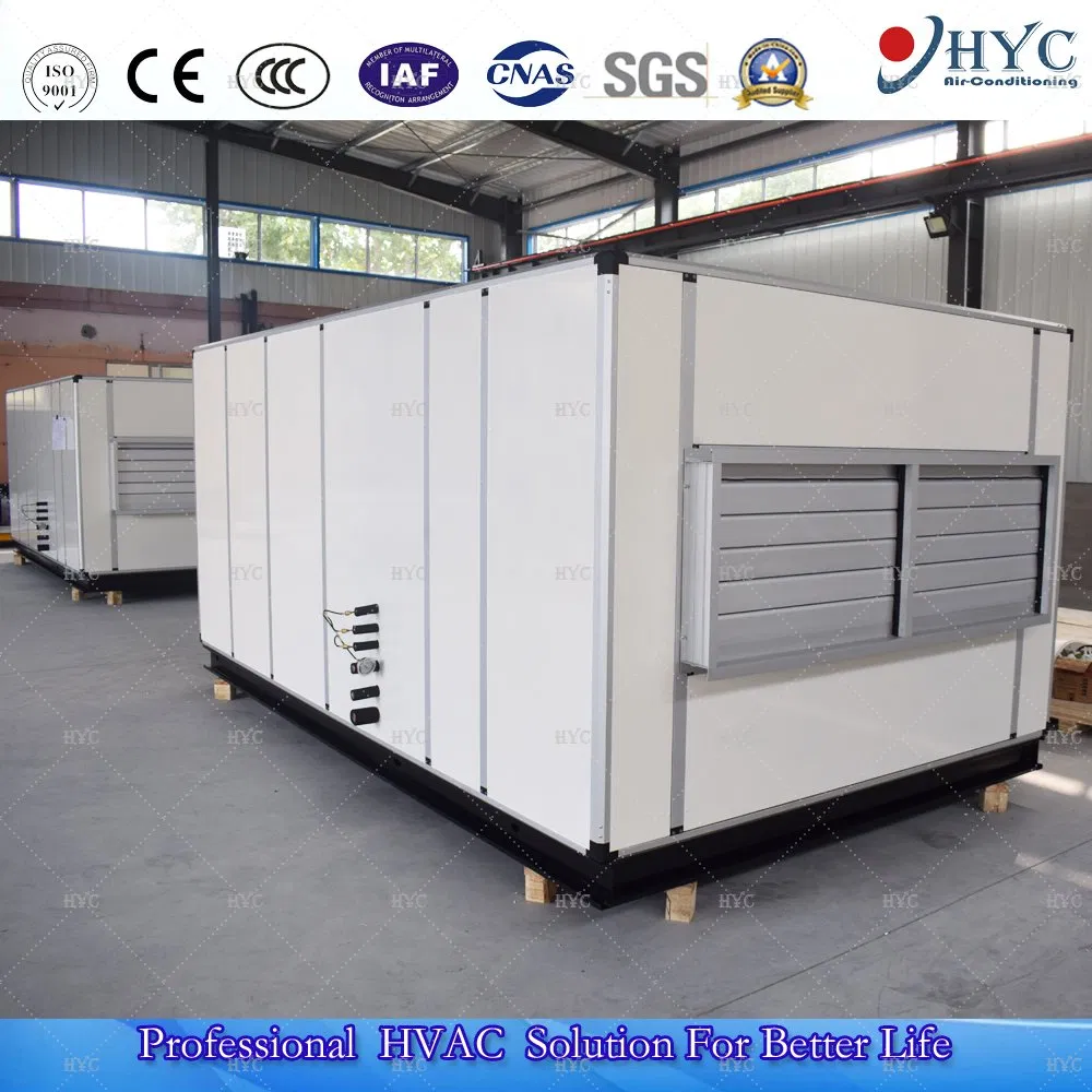Unidad de Manejo de Aire Modular Comercial/Sistema de Aire Acondicionado Combinado