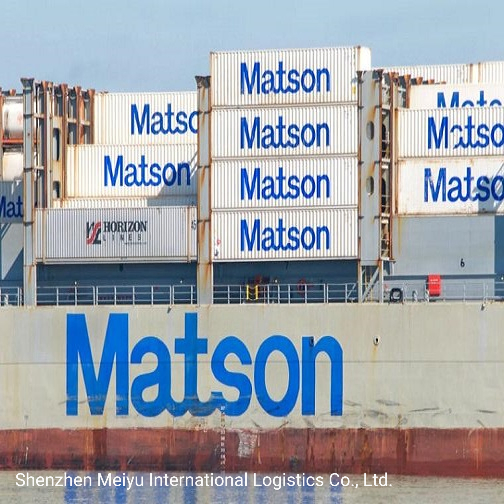Maston Fast Ship DDP Sea Shipping UPS/FedEx Delivery Services to The USA