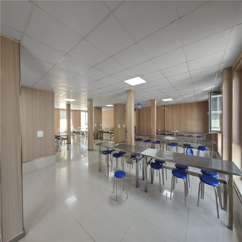 Modern Steel Frame Structures for Sustainable Building Designs