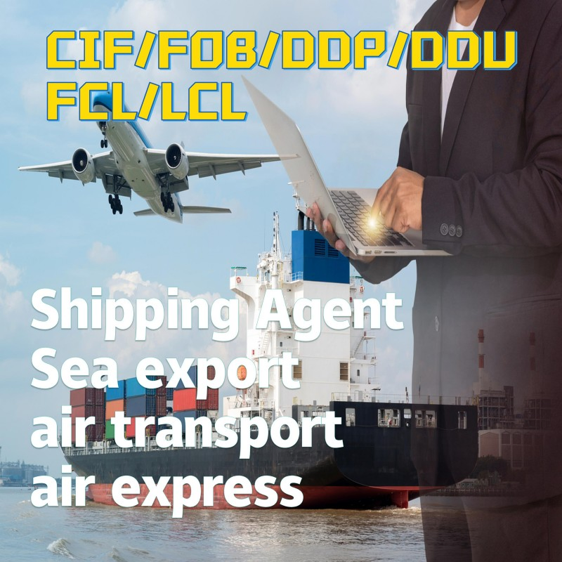 Santos FCL Sea Freight with China Shipping Agent for Container Shipping and Guangzhou Warehous Service to South America Brazil/Chile Custom Clearance