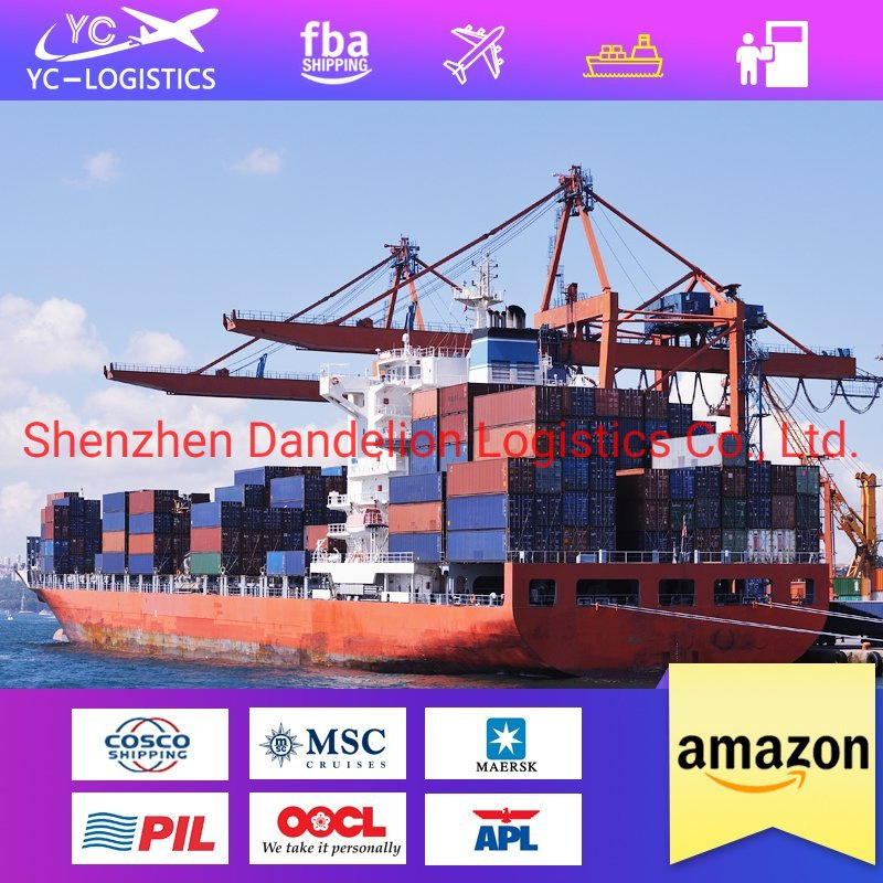 Shenzhen International Container Sea/Air/Rail/Railway/Road Freight Shipping Agent From China to The Whole World