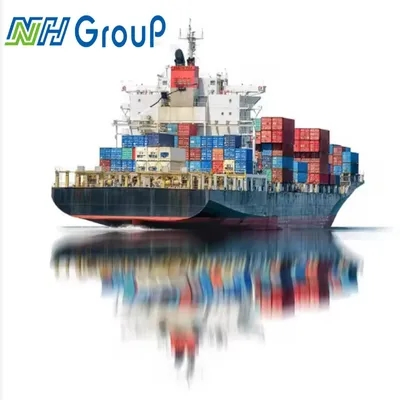 Customs Clearance by Sea Freight Carton Logistics