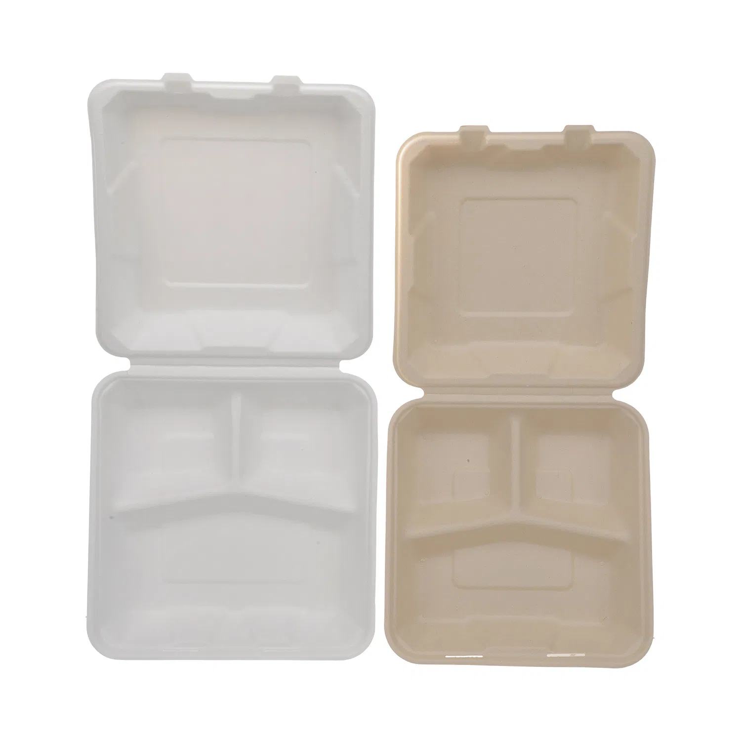 Biodegradable Compartment Lunch Box