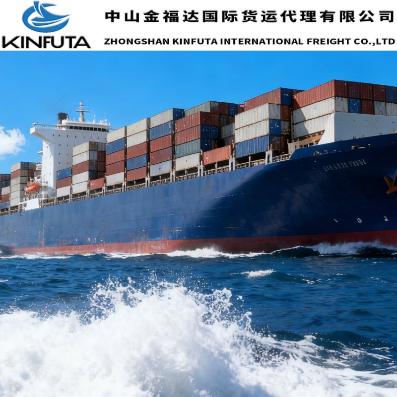 DDU/DDP Logistics Service Transportation Cargo Sea Freight Consolidation to Varese/Venice/Venezia/Vercelli/Verona/Vicenza/Viterbo Italy