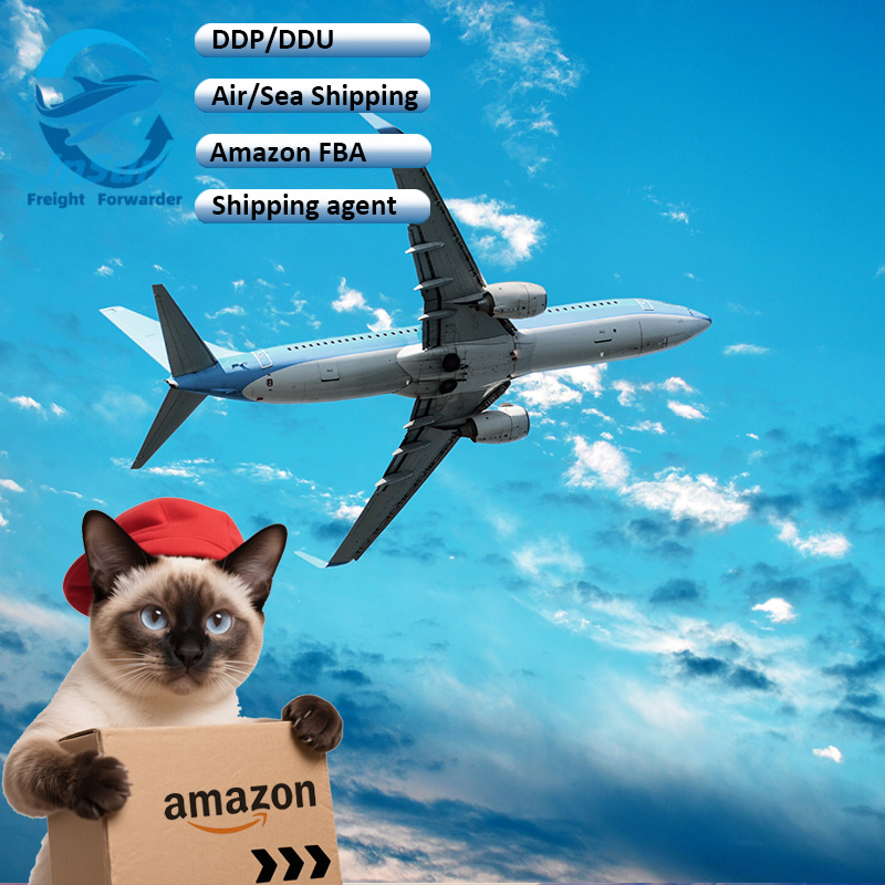 Top International Air Cargo Shipping DHL/UPS/FedEx Service From China to USA UK Canada Germany