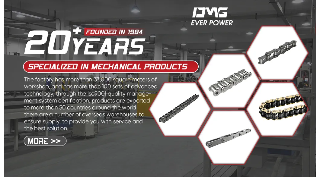 Precision Roller Chain