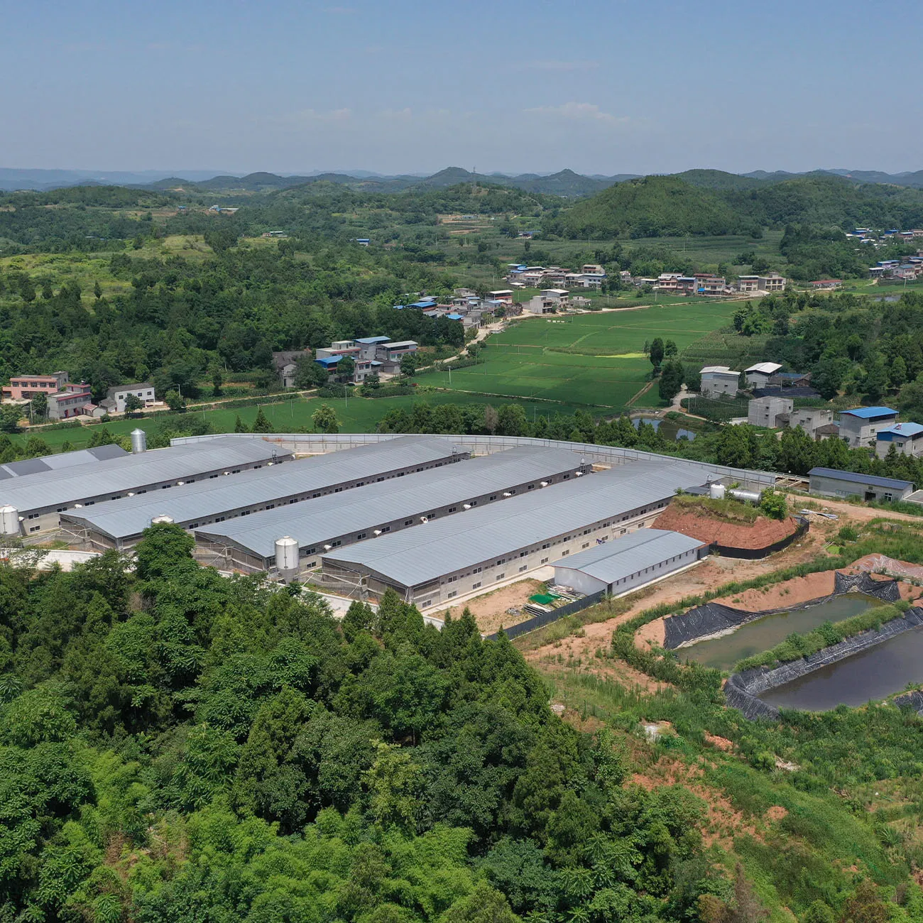 Efficient Pig Farm Wastewater Treatment for Sustainable Livestock Farming